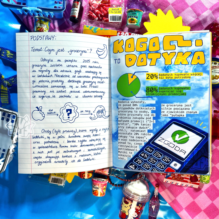 STREŻ SIĘ GROCERYNY! zin zestaw ☆